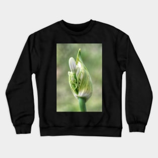 Agapanthus Birthing Crewneck Sweatshirt